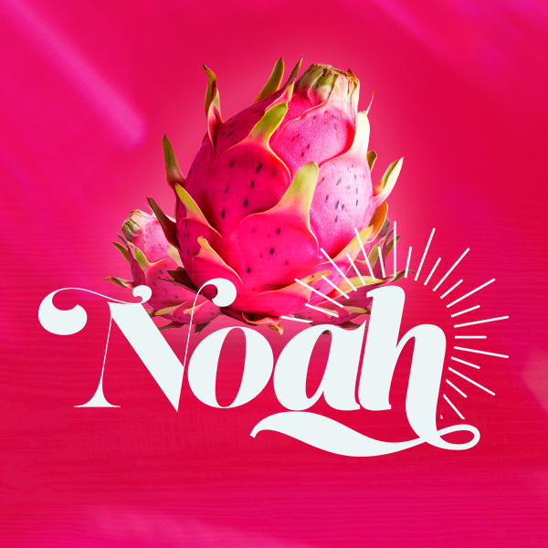 NOAH!