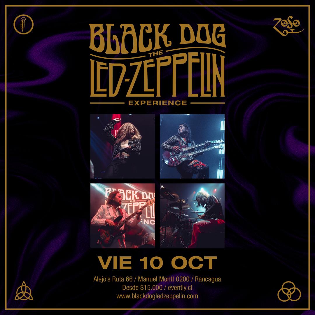 Black Dog - Eventos y Entradas | Evently